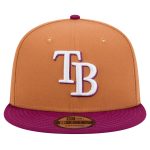 mens tampa bay rays new era brownpurple color pack two-tone 9fifty snapback hat Collection | Tampa Bay Rays Proshop - Official Rays Jerseys & Caps