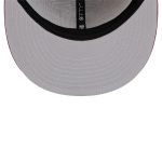 mens tampa bay rays new era brownpurple color pack two-tone 9fifty snapback hat Collection | Tampa Bay Rays Proshop - Official Rays Jerseys & Caps