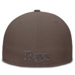 mens tampa bay rays nike brown true statement 20th anniversaryperformance fitted hat Collection | Tampa Bay Rays Proshop - Official Rays Jerseys & Caps